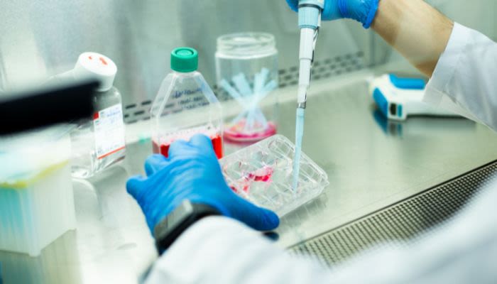 lab technician working with cell cultures