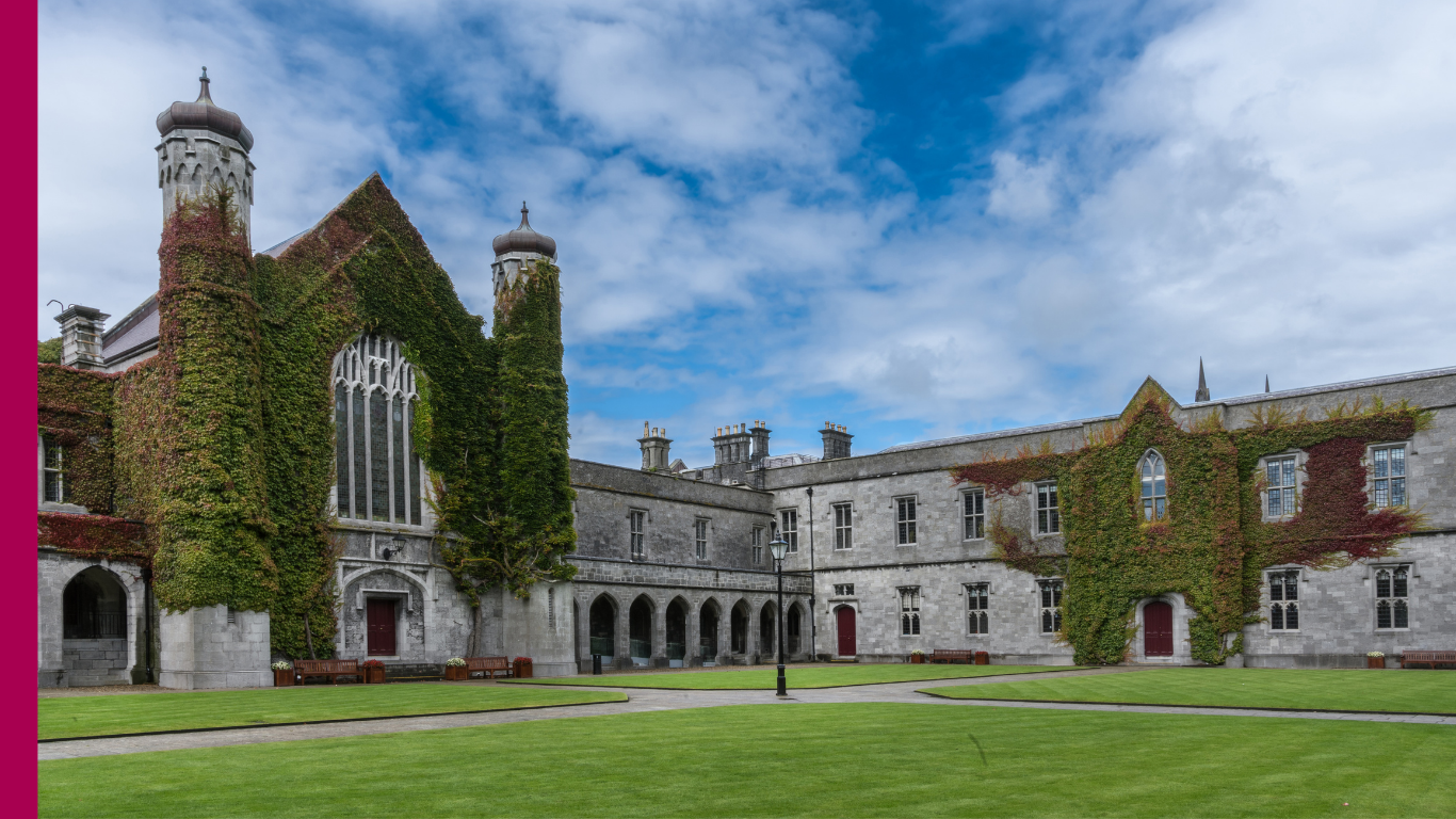 black and brown case