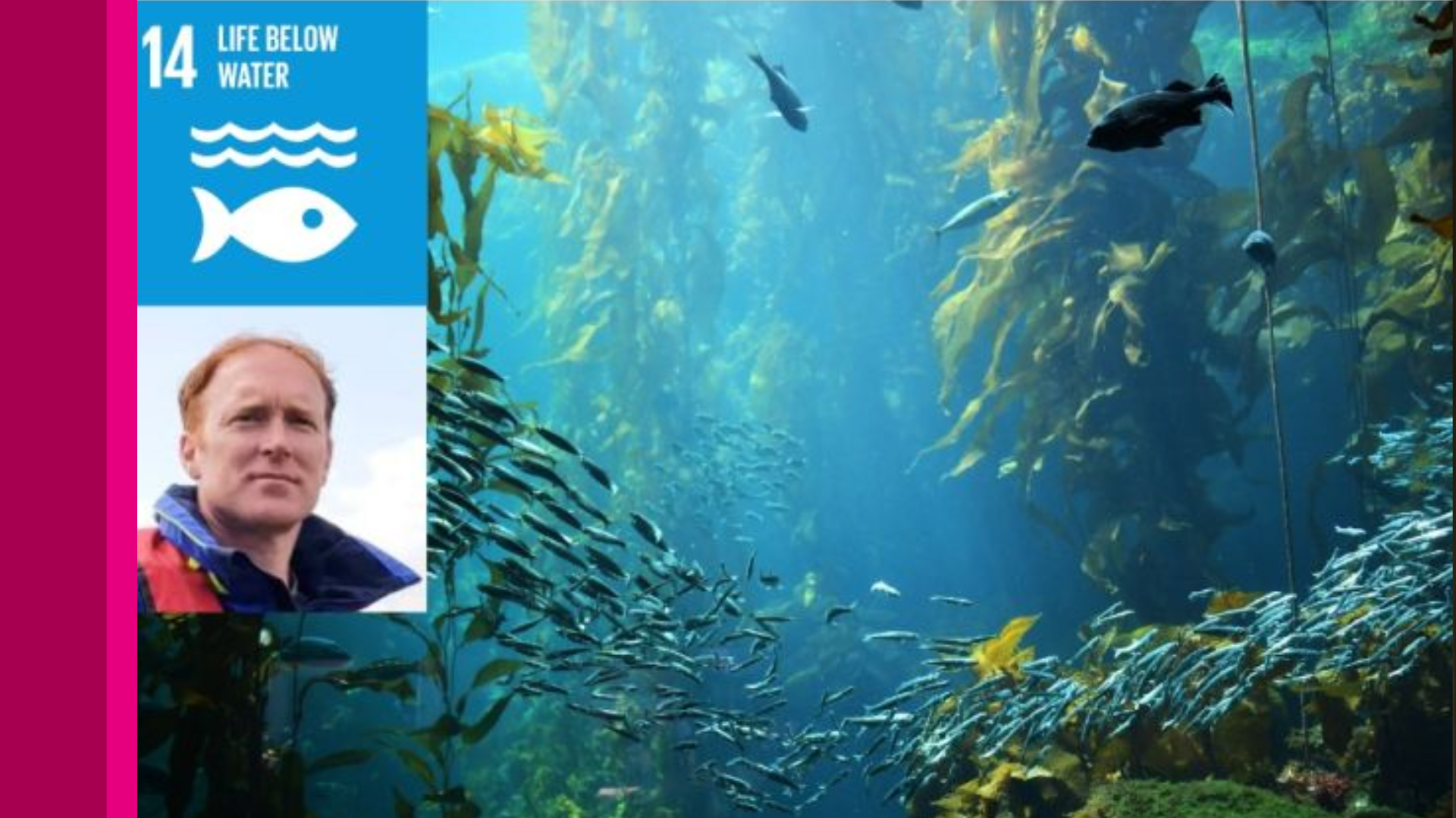 University of Galway to Lead Key Role in €1.3M EU Marine Restoration Project