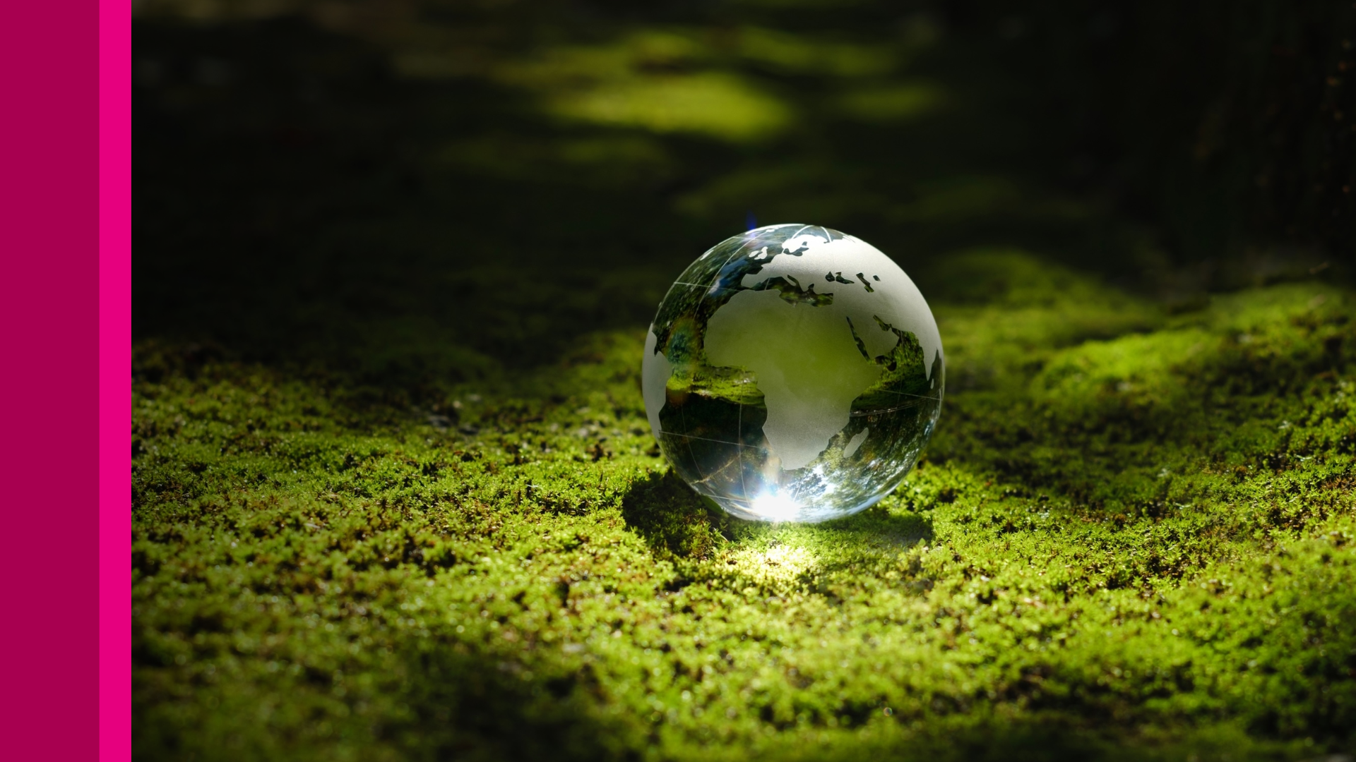 SDG Showcase: J.E. Cairnes School of Business & Economics